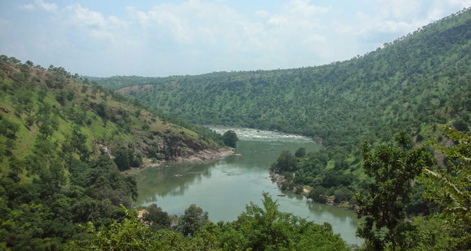 doddamakkali-nature-camp