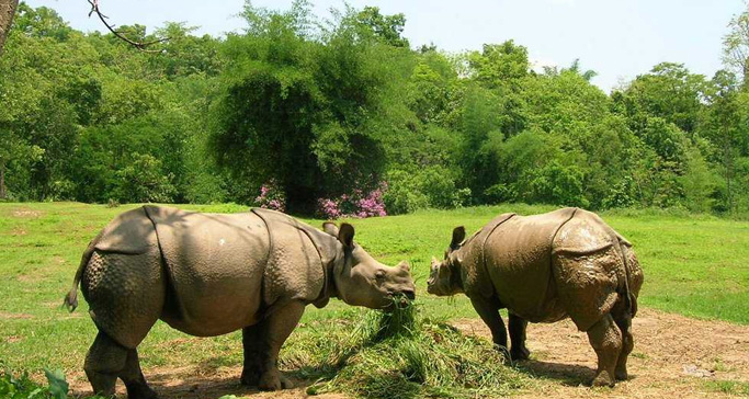 guwahati-zoo