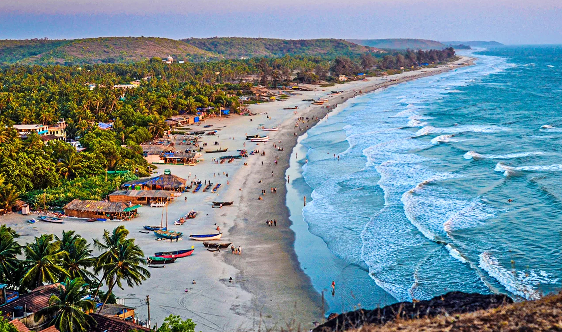 Dolphin Spotting in Goa