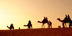 Jodhpur Jaisalmer Desert Tour – Blue City to Golden City Rajasthan package